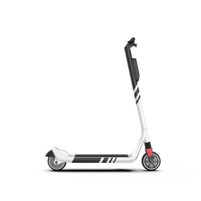 China Hongji Eco-friendly Hot Selling Electric Kick Scooter BH06 for sale