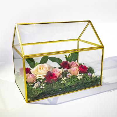 China Europe Gold Frame Factory Geometric Glass Container Indoor Mini Greenhouse for sale