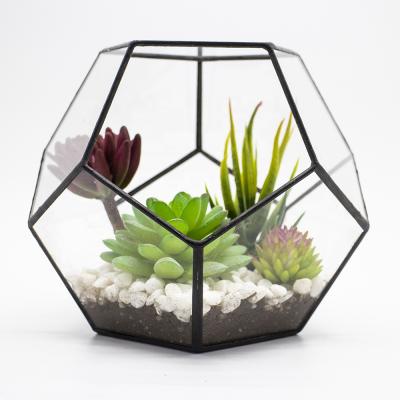 China CLASSIC Modern Planter for Dodecahedron Indoor Gardening Geometric Handmade Mini Glass Greenhouse for sale