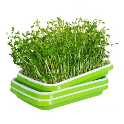 China Amazon Eco-Friendly Material Green Soil Seed Grower and Storage Freestanding Trays 34x25x12cm Eco Pushing Tray with Cover Lid for Kitchen Use for sale