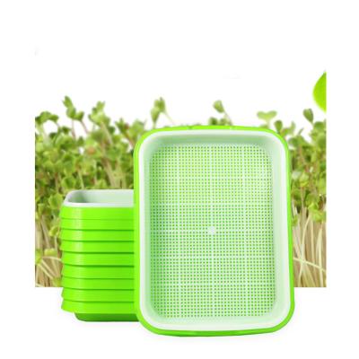 China Amazon Garden Eco Material Double Layer 34x25x12cm Soil Free Germination Tray With Cover Lid For Making Organic Bean Sprout Seeds for sale