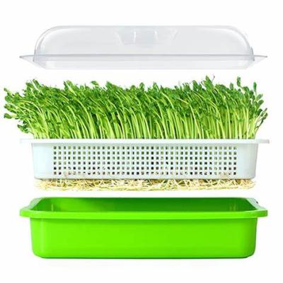 China Hot Sale Seed Growth BPA Free Seed Sprouter Tray Seed Germination Nursery Tray for sale