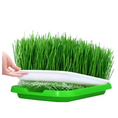 China Indoor plant grow new arrival Microngreen seed tray nutrition nursery hydroponic tray for plant seed germination tray for sale for sale