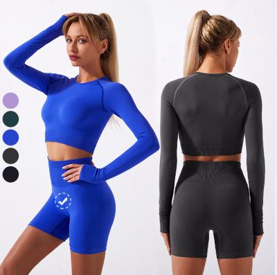 China Wholesale Breathable Custom Long Sleeve Sports Logo Seamless Tops Biker Shorts Women Yoga Set for sale