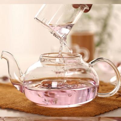 China Modern Glass Teapot Kettle with Stainless Steel Infuser - Stovetop Safe - Blooming & Loose Leaf Tea 800ml for sale