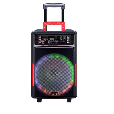 China No BVIP Outdoor Loudspeaker OEM ODM Big Power Speaker With Microphone 15 Inch RGB Light Wireless Speaker for sale