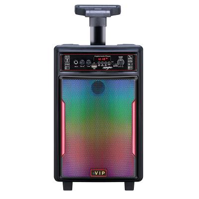 China No New Style 2021 BVIP Loudspeaker Flame Lamp Loudspeaker 8 Inch Big Power Loudspeaker for sale