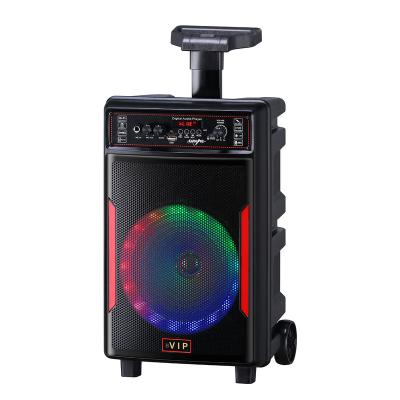 China No Rechargeable 30W BVIP Amplified Concise Sound Box Amplifier Cable Microphone Karaoke Light Speaker for sale