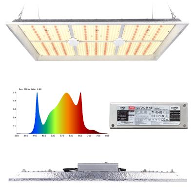 China Seed Starting 600W LED Grow Light 3200-3400K Full Spectrum With Reflector Flower Wavelength Mainly With Red Light For Glow Tent Home Use for sale