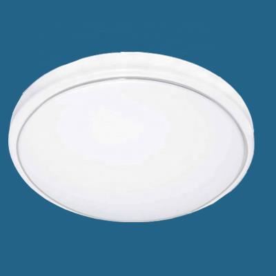 China Living Room Acrylic Ceiling Lamp Flush Mount Plastic Shades for sale