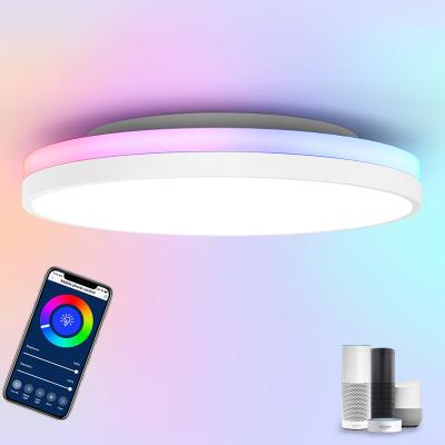 China Minimalist Smart Voice Control Timer Switch Millions RGB Colors Led Bulbs Tuya Ceiling Lighting Restaurant Lighting Ceiling for sale