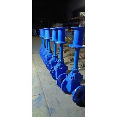 China The Best Seller Pn10 Malleable Cast Iron Gate Valve For Flange Connecting for sale