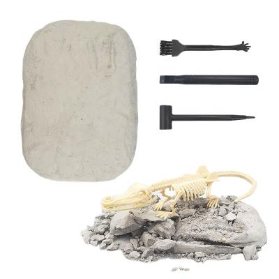 China Interesting Plaster Archaeological Archeology Excavation Dinosaur Animals Skeleton Digging Fossils Digging Toys for sale