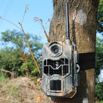 China 20MP 1080P IP66 Weather-Resistant 45pcs 940nm IR LED Gsm Trail 3g Game Hunting Camera for sale