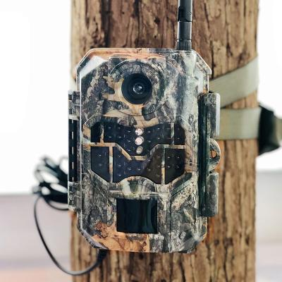 China OEM&ODM Weather-Resistant 12 Month Sim Card Trail Hunting Camera 1080p 20mp Resolution for sale