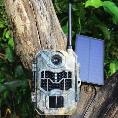 China New Design 20MP 1080P Resolution 3G GSM Cellular Trail Camera PH770-3G for sale