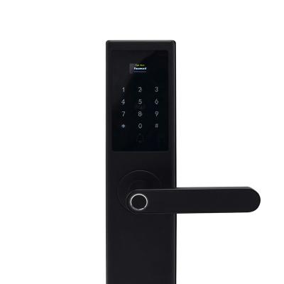 China Household EBKN Cheap Smart Biometric Fingerprint Door Lock Traditional Fingerprint Door Lock for sale