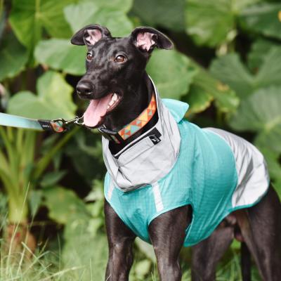 China BlackDoggy Summer Pet Clothes Sustainable Dog Rain Coat Jacket For Greyhound for sale