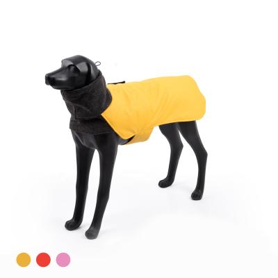 China BlackDoggy Designer Dog Clothes PU Cotton Padded Pet Apparel Sustainable Winter Jacket For Greyhound for sale