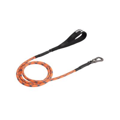 China Personalized Wholesale Pet Leash Rope Dog Walking Accessory With High Quality Carabiner for sale