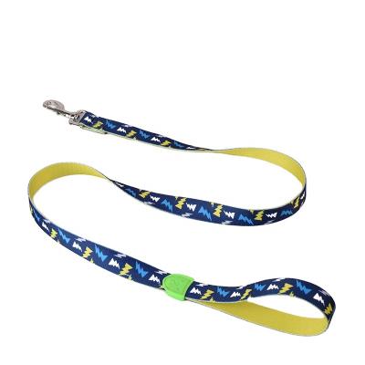 China BlackDoggy Designer Custom Polyester Pet Dog Leash DETACHED Training Advance for sale