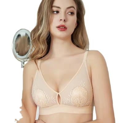 China New QUICK DRY hot selling bra without underwire sexy embroidery thin fitted lingerie bra with big breasts small representation for sale