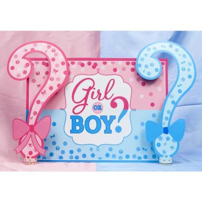 China Hanging Gender Reveal Baby Shower Photo Backdrop Pink Party Decorations Banner or Blue Boy or Girl Background for sale