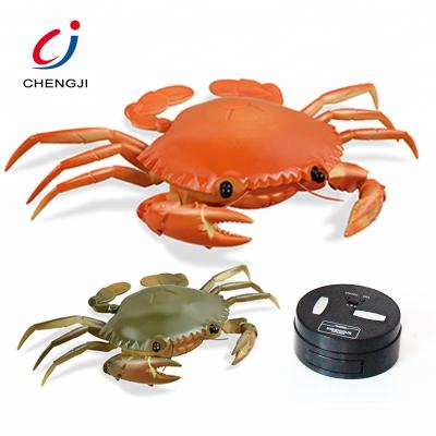 China Plastic RC Model Novelty Kids Battery Sea Animal RC Crab Model Toy for sale