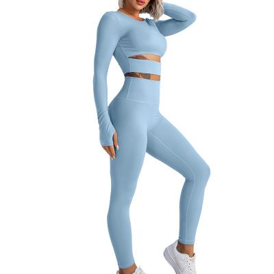 China Breathable Popular Seamless Yoga Suit 2 Piece Sports Shirts Long Crop Top Gaiters Gym Clothes Fitness Tracksuit Workout Set for sale