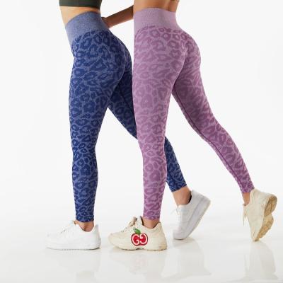 China Breathable Yoga Pants Lift Up Gym Pants Sports Gaiters Workout Fitness Yoga Wear Women Active Tracksuit for sale