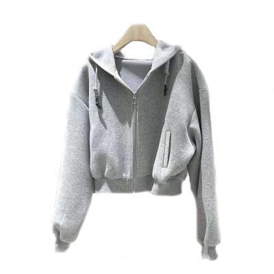 China 2022 Autumn Spring New Korea Graphic Sweatshirt Anti-Wrinkle High Waist Loose Slim Crop Top Hoodie Women Cardigan Sweater Women Hoodie for sale