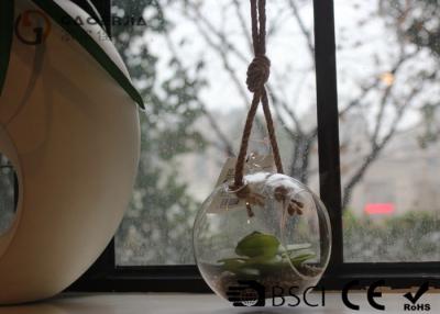 China Clear Glass Hanging Terrarium / Hanging Glass Plant Holders Anti Corrosion for sale