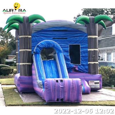 China Inflatable Bounce House For Party Bouncing Castles Combo Jumping Inflatable for sale