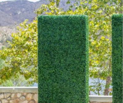 China Eco - Friendly Artificial Green Plant Wall Boxwood Hedge For Decoration for sale