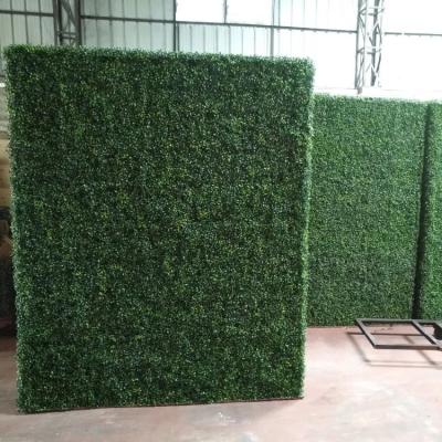 China Eco-friendly Outdoor Artificial Green Boxwood Hedge Grass Wall Plant Wall for sale