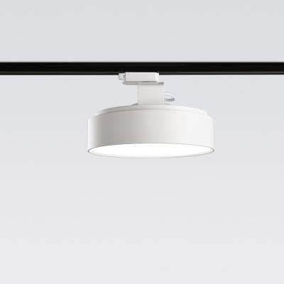 China Modern Modern Showroom Lighting Home Style Track Mounted Wires 2 3 Wires Led Light for sale