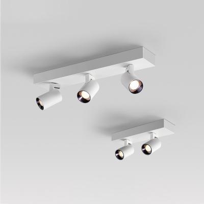 China Minimalist Style 2X12W Aluminum 3X12W LED 80Ra 90 Ra Indoor Ceiling Light Best-selling Spotlight for sale