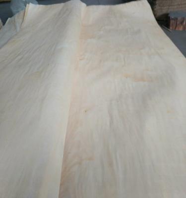 China B - E Grade Natural Wood Veneer 0.2 - 0.5mm Thickness White Birch Veneer for sale