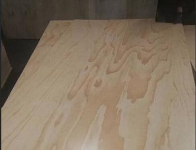 China 2 Sides / 1 Side UV Coated Plywood Radiata Pine Face And Back Eco Friendly for sale