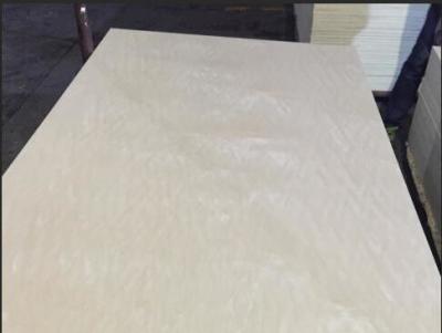 China Fancy R/S White Maple Plywood 1220x2440mm Size Eco Friendly Raw Materials for sale