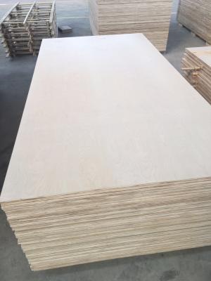 China 1220*2440mm Cabinet grade White Birch Plywood , Poplar/Eucalyptus Core for sale