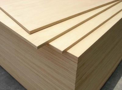 China Vietnam Made White Birch Plywood , 1220*2440mm, Acacia/Hardwood Core, for sale