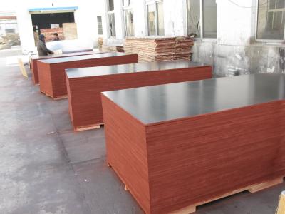 China Good quality FJ plywood, Phenolic plywood, finger joint for sale