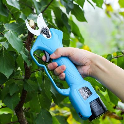 China garden & Agriculture Angsui Shears Secateur Cordless Electric Branch Cutter Scissors with 2 Battery and Plastic Tool Box for sale