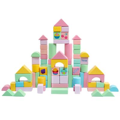 China High Quality Classic Educational Toy Building Blocks for sale