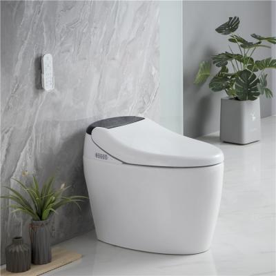 China Luxury Floor Standing Ceramic Sanitary Ware One Piece Automatic Bathroom Auto Operation Bathroom Wc Smart Toilet for sale