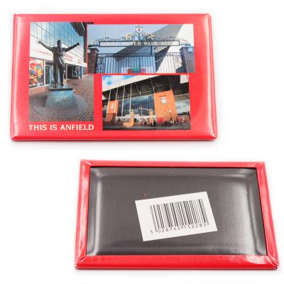 China Liverpool Animal City Stadium Anfield UK Custom Tourist Souvenir Tin Refrigerator Magnet Fridge Magnet for sale