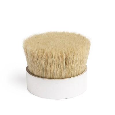 China Double Bristle Cleansing In Brush White Boiled Maker for sale