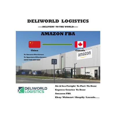 China High Speed ​​Cheapest Cost Amazon FBA Drop Shipping 7 Days Free Freight FCL LCL From China To Canada DDU DDP EXW FOB for sale