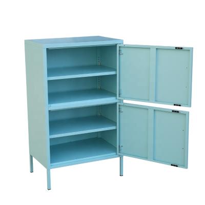 China Knockdown Steel 2 Tier 2 Door Cabinet for sale